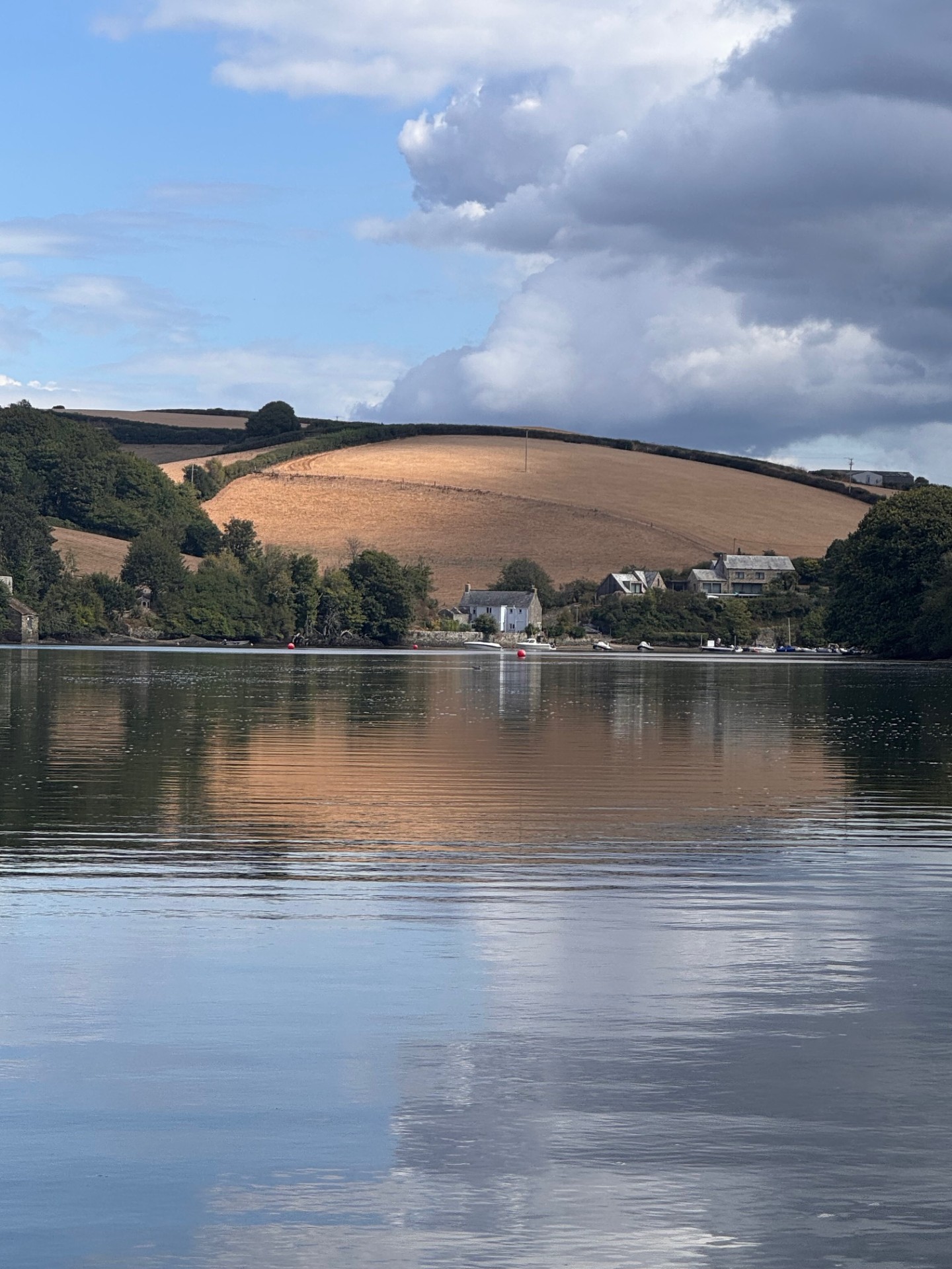 Salcombe harbor
